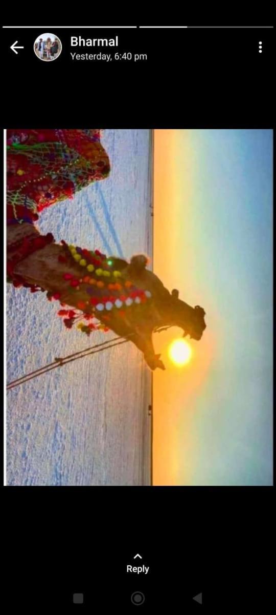 White Desert Homestay *